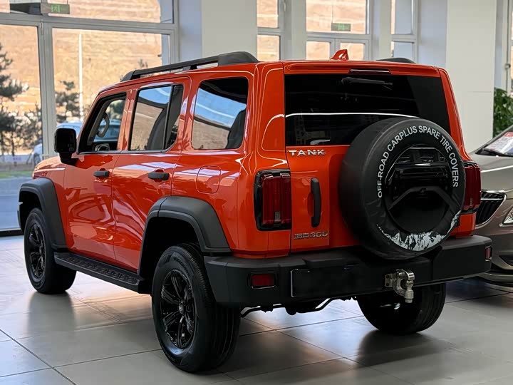 Фото 16 - Tank 300