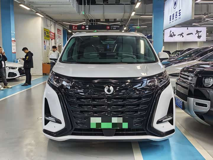 Фото 2 - Denza D9