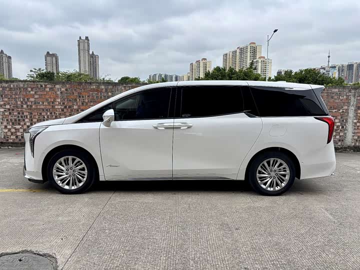 Фото 7 - Buick GL8 Century