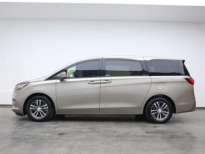 Фото 15 - Buick GL8 ES