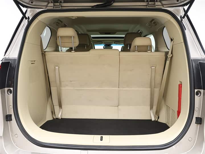 Фото 6 - Buick GL8 ES