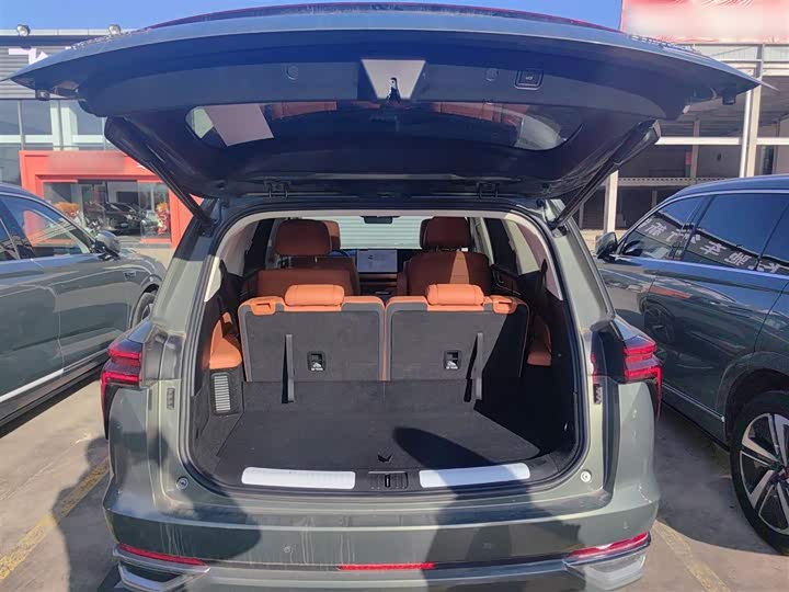 Фото 19 - Wey Lanshan