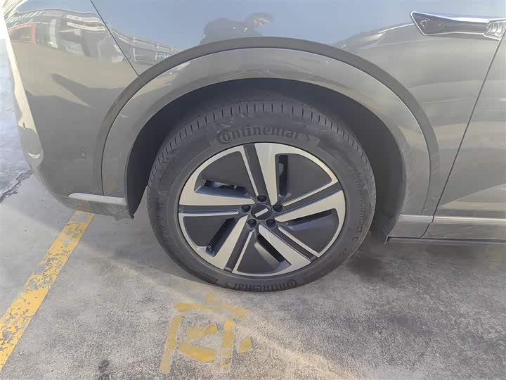 Фото 23 - Wey Lanshan