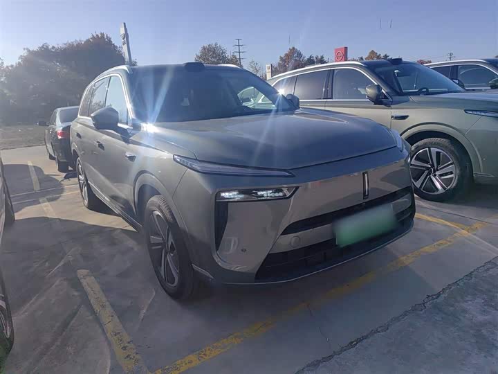 Фото 4 - Wey Lanshan