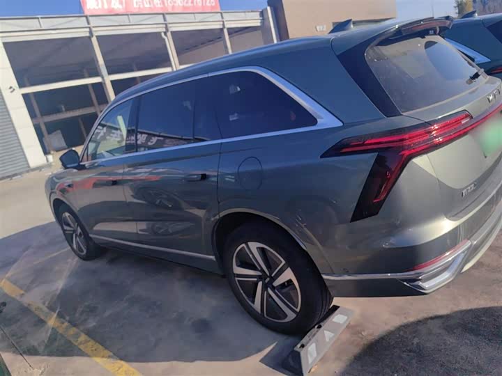 Фото 5 - Wey Lanshan