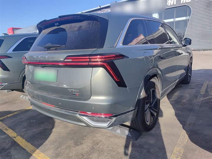 Фото 7 - Wey Lanshan