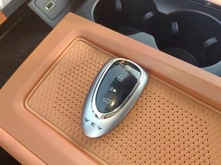 Фото 9 - Wey Lanshan