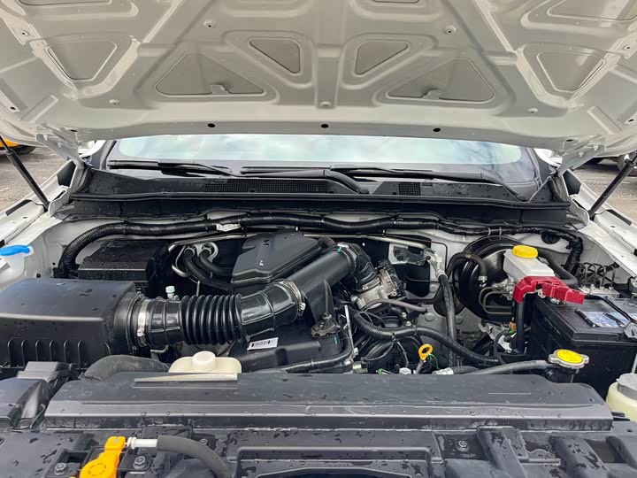 Фото 21 - Dongfeng Rich 6