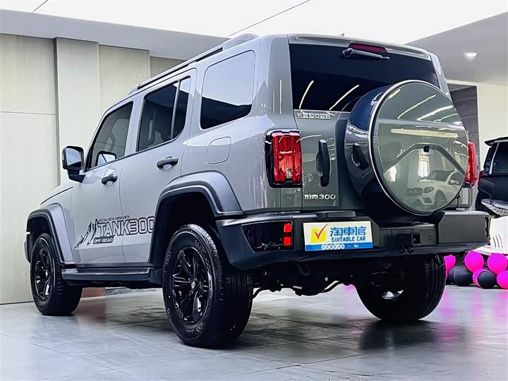 Фото 6 - Tank 300