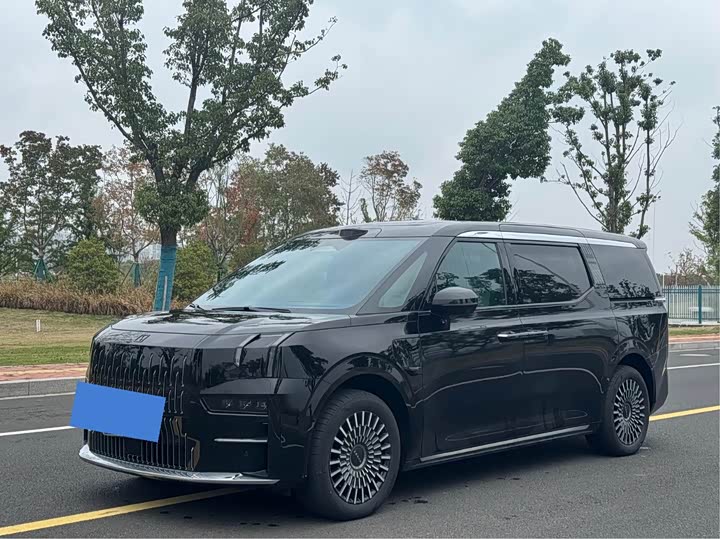 Фото 1 - Zeekr 009