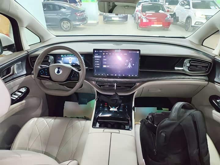 Фото 10 - Denza D9