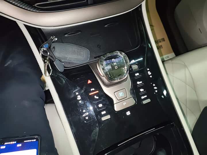 Фото 14 - Denza D9