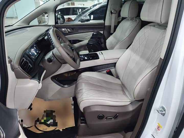 Фото 15 - Denza D9