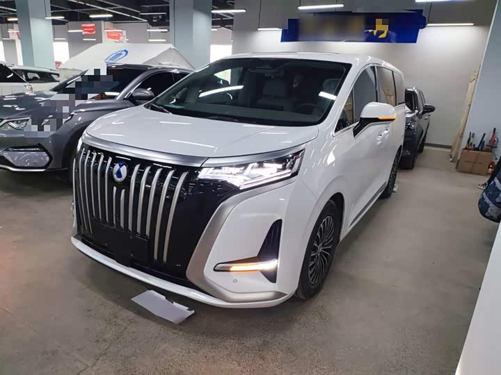 Фото 2 - Denza D9