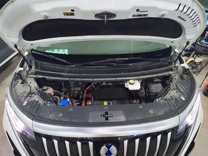 Фото 20 - Denza D9