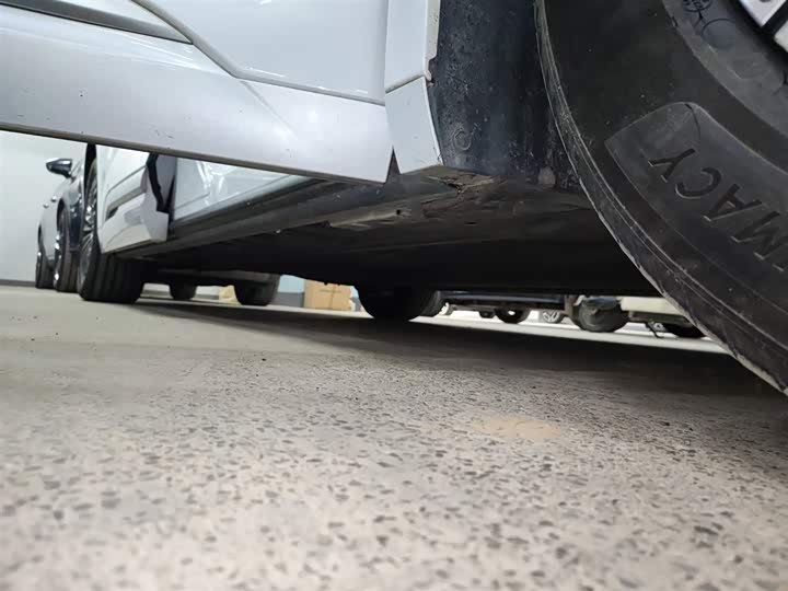 Фото 21 - Denza D9