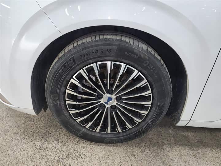 Фото 23 - Denza D9