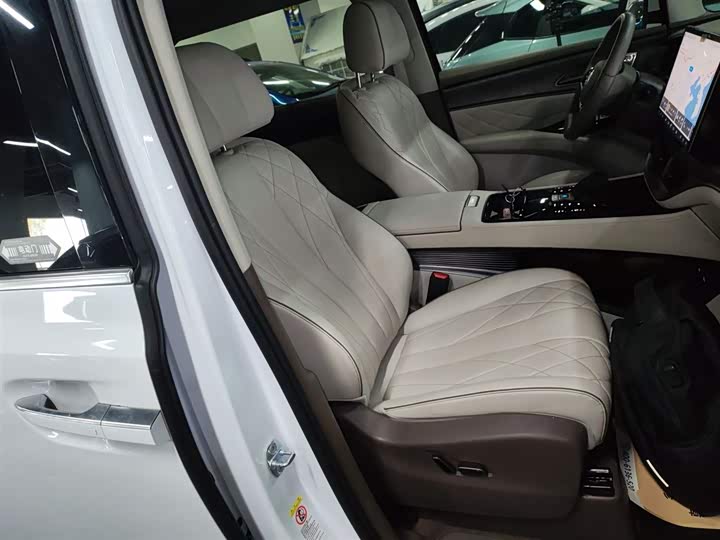 Фото 25 - Denza D9