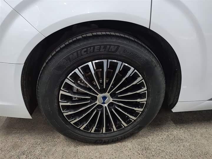 Фото 26 - Denza D9