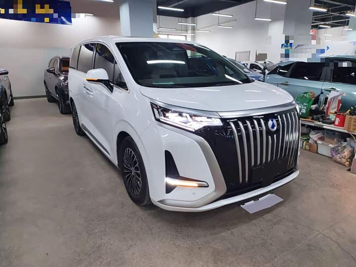 Фото 4 - Denza D9