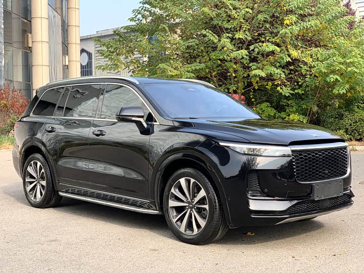 Фото 3 - LiXiang One