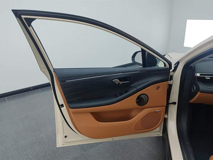 Фото 7 - GAC Aion RT