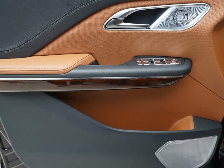 Фото 5 - Hongqi HQ9