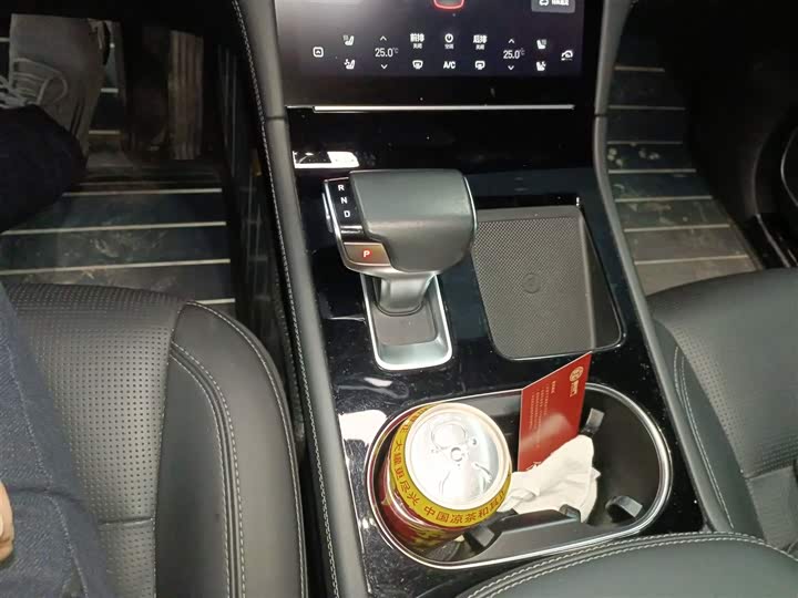 Фото 14 - LiXiang One