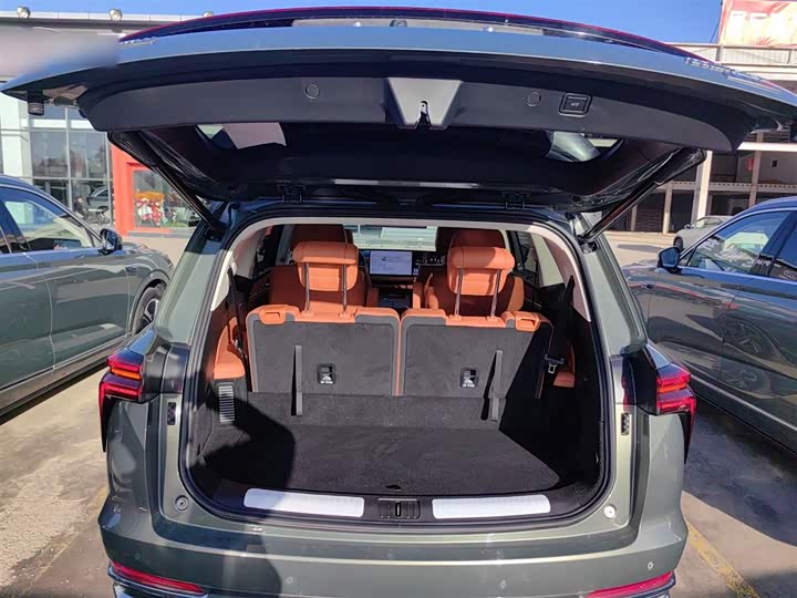 Фото 19 - Wey Lanshan