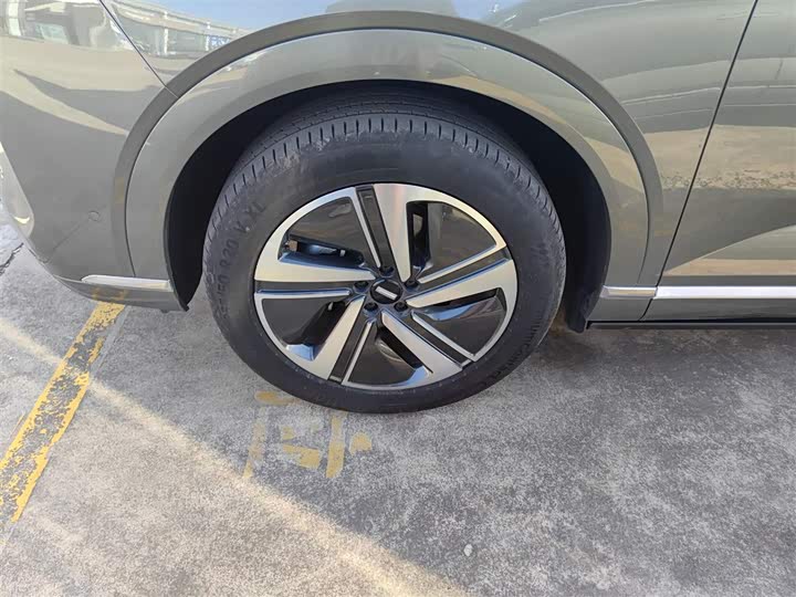 Фото 23 - Wey Lanshan