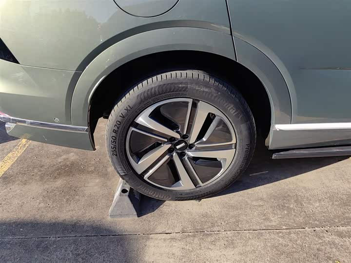 Фото 26 - Wey Lanshan