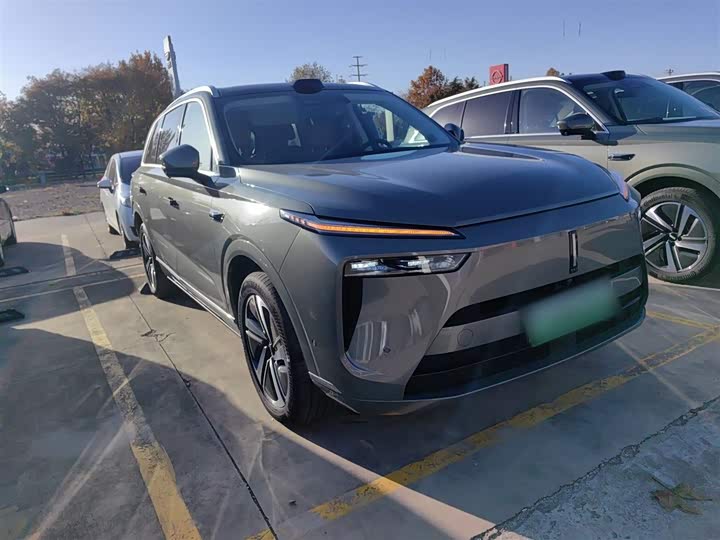 Фото 4 - Wey Lanshan