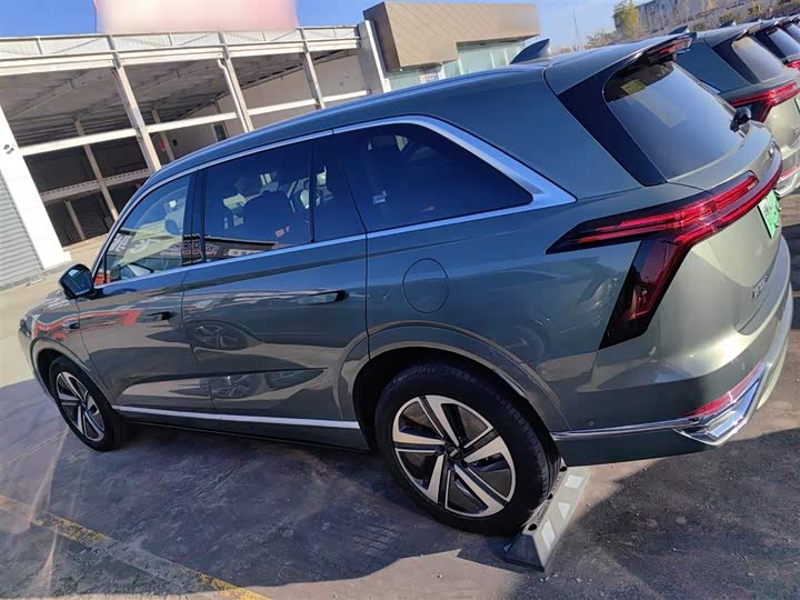 Фото 5 - Wey Lanshan