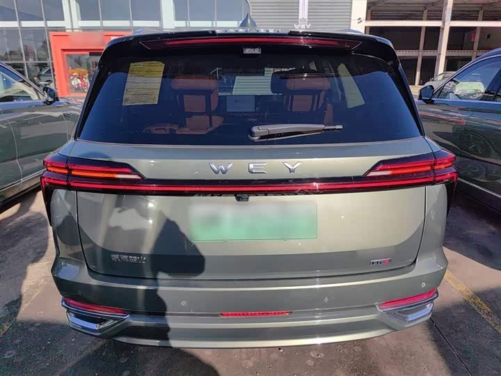 Фото 6 - Wey Lanshan