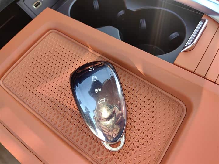 Фото 9 - Wey Lanshan