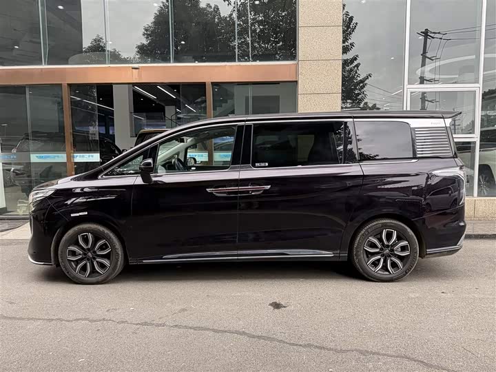 Фото 3 - Hongqi HQ9