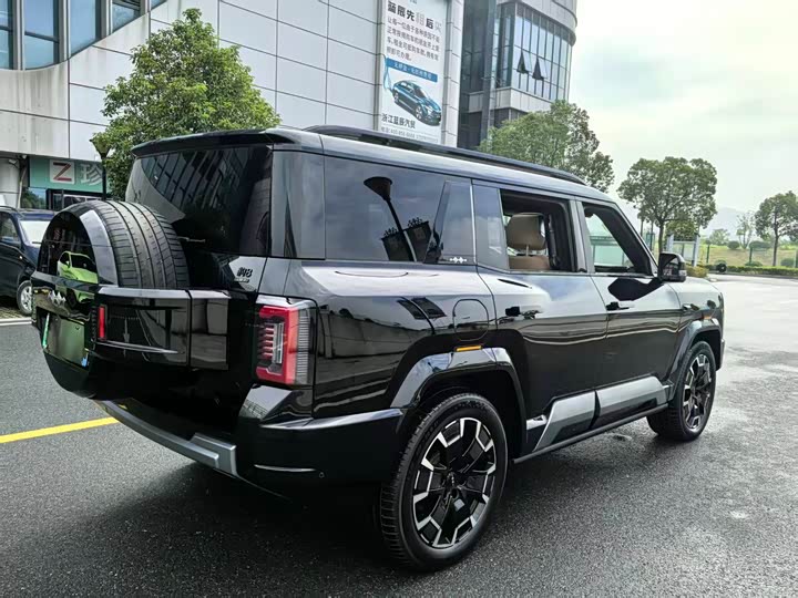 Фото 7 - BYD FangChengBao Leopard 8