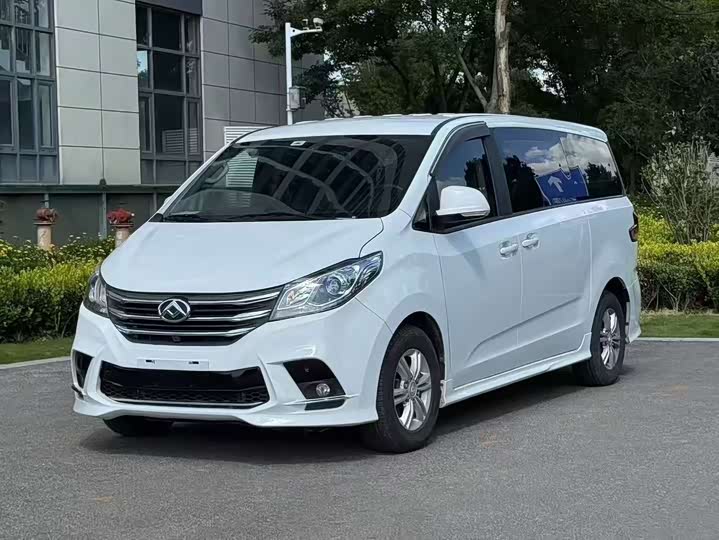 Фото 1 - Maxus G10