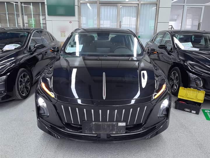 Фото 3 - Hongqi E-QM5