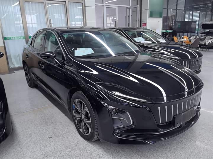 Фото 4 - Hongqi E-QM5