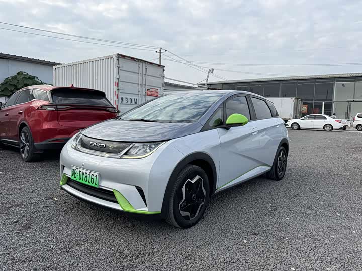 Фото 1 - BYD Dolphin