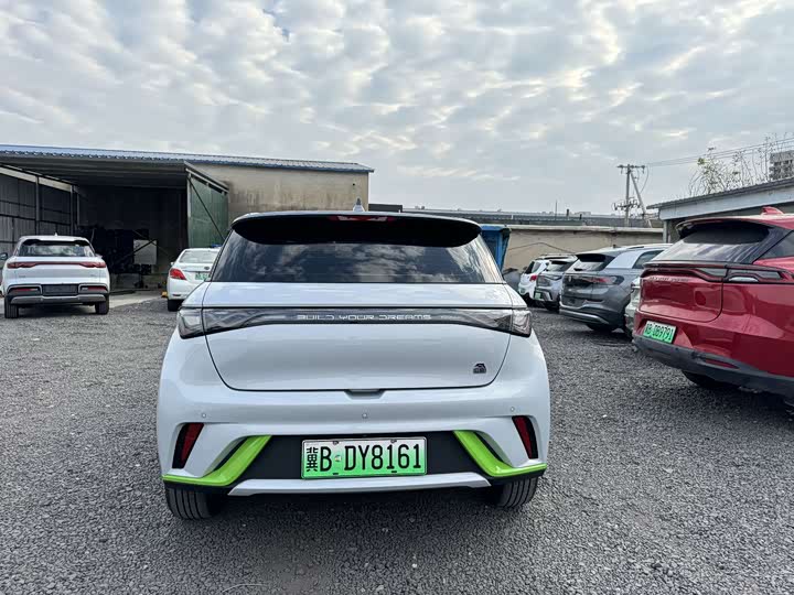 Фото 10 - BYD Dolphin