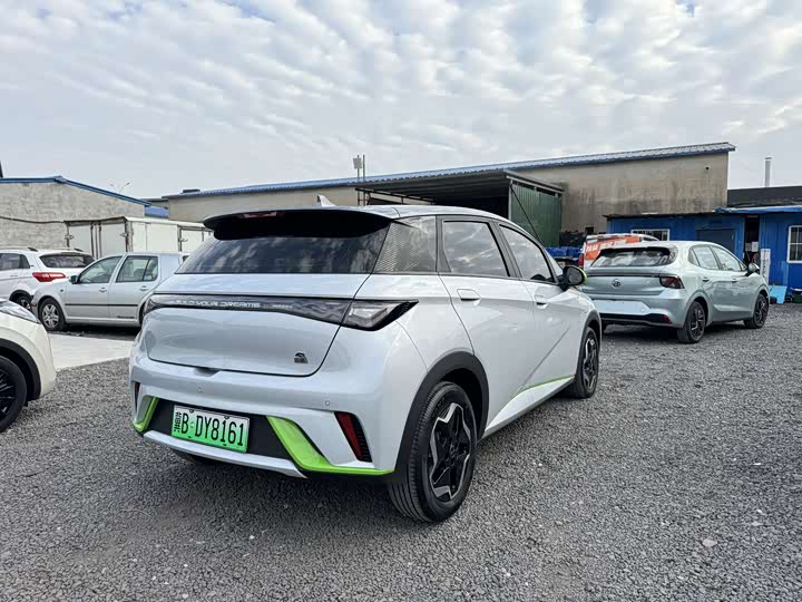 Фото 11 - BYD Dolphin