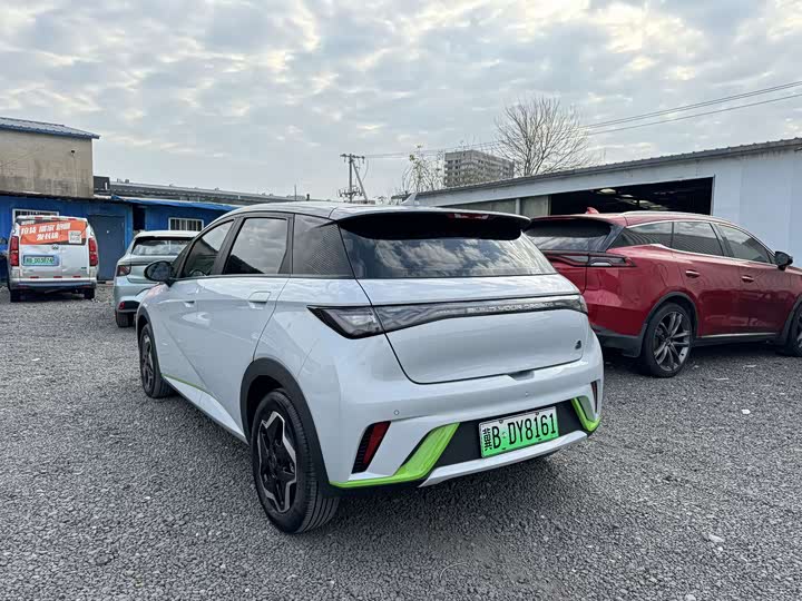 Фото 12 - BYD Dolphin