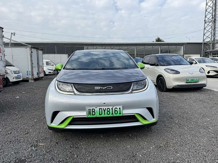 Фото 2 - BYD Dolphin