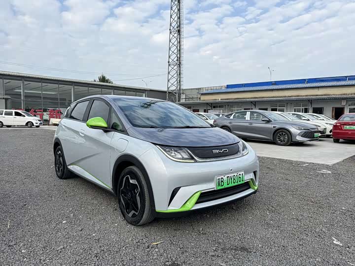 Фото 3 - BYD Dolphin