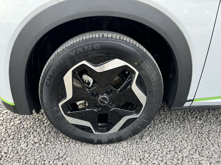 Фото 4 - BYD Dolphin