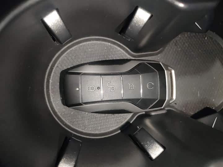 Фото 9 - BYD Han