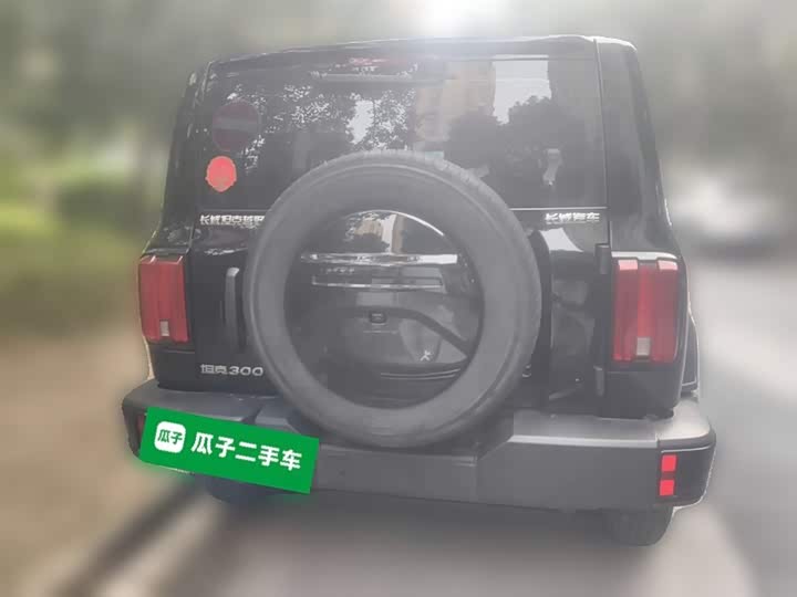 Фото 27 - Tank 300