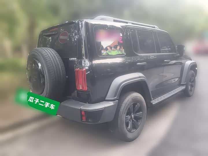 Фото 28 - Tank 300